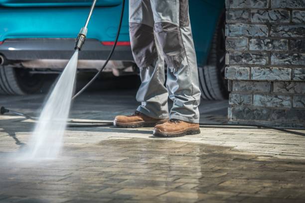 Best Dumpster Area Cleaning  in Leadwood, MO