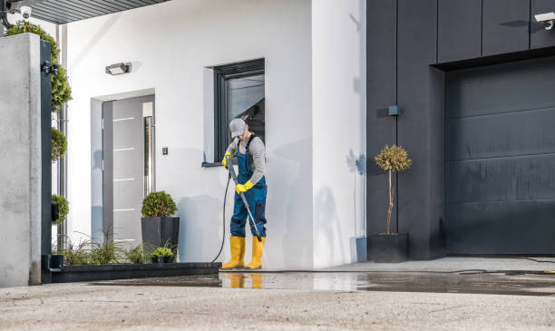 Best Fence Cleaning  in Leadwood, MO
